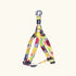 Digital Print Dog Harness